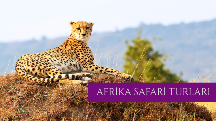 AFRİKA SAFARİ TURLARI